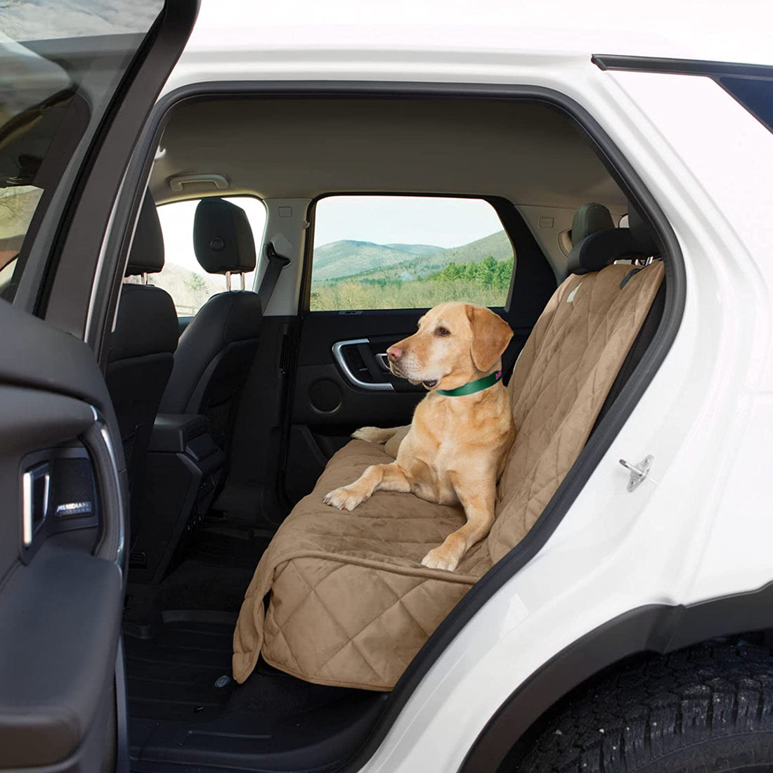The 5 Best Dog Car Seat Covers
